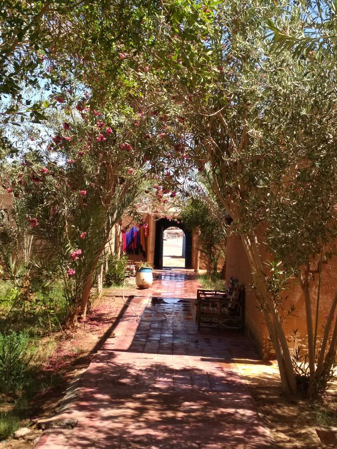 Hamada Du Draa Bed & Breakfast M'Hamid Exterior photo